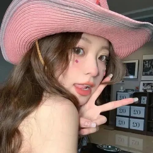 红尾鸽